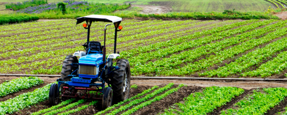 indiagro product details list